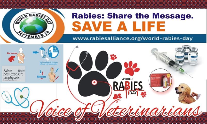 World Rabies Day Sindh