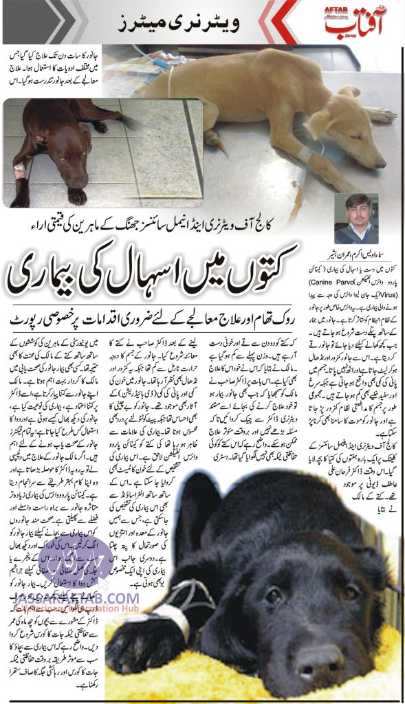 Canine Parvo Virus in Pakistan Success Story