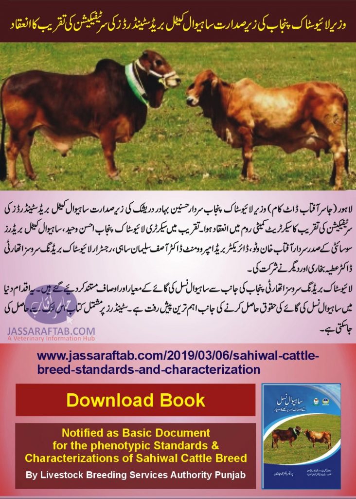 Sahiwal Cow is the Breed of Pakistan 