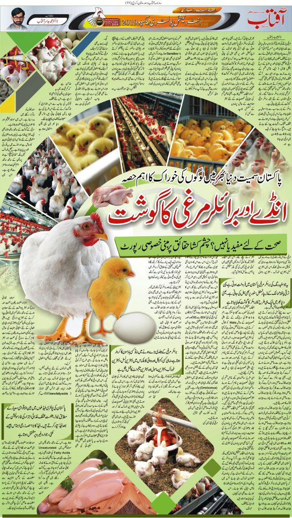 Reality of Broiler Chicken and hormones