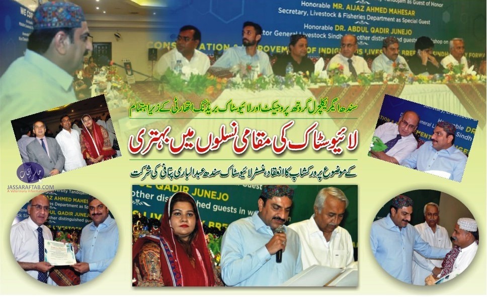 Minister Livestock Sindh