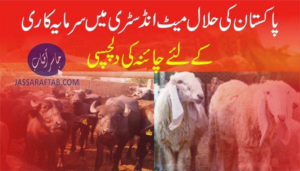 Pakistan halal meat industry