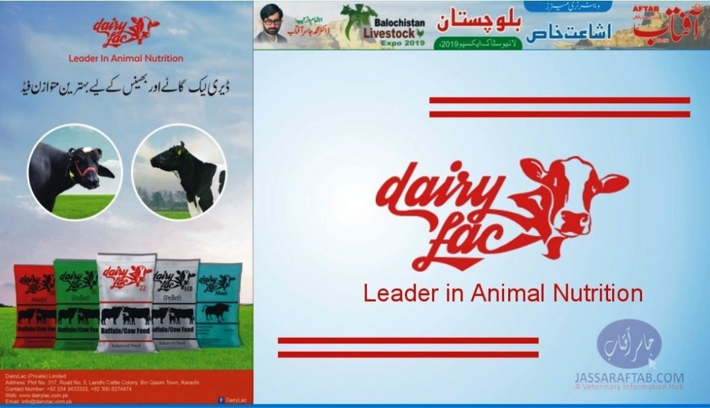 Dairy Lac Dairy Livestock Feed