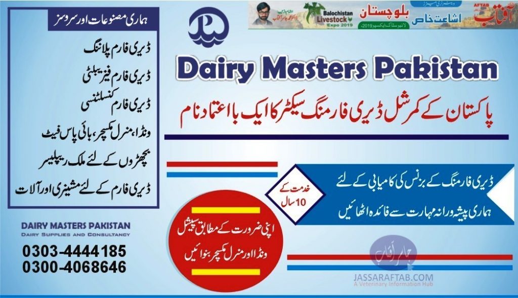 Dairy Farm Consultancy