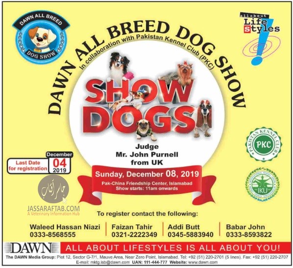 Dawn all breed  dog show