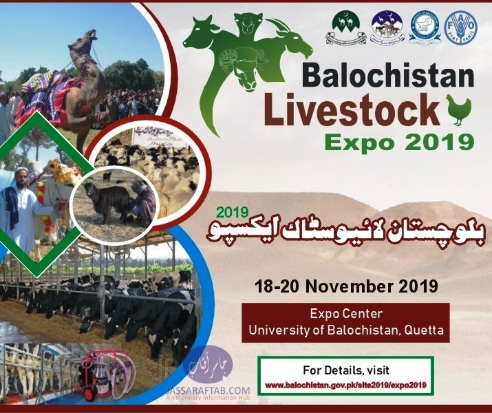 Livestock Expo Quetta