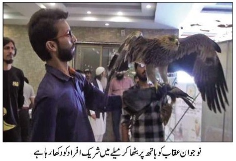 Bird show karachi