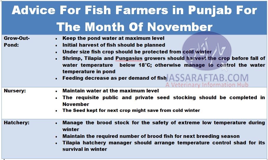 Advice for fish farmers in punjab