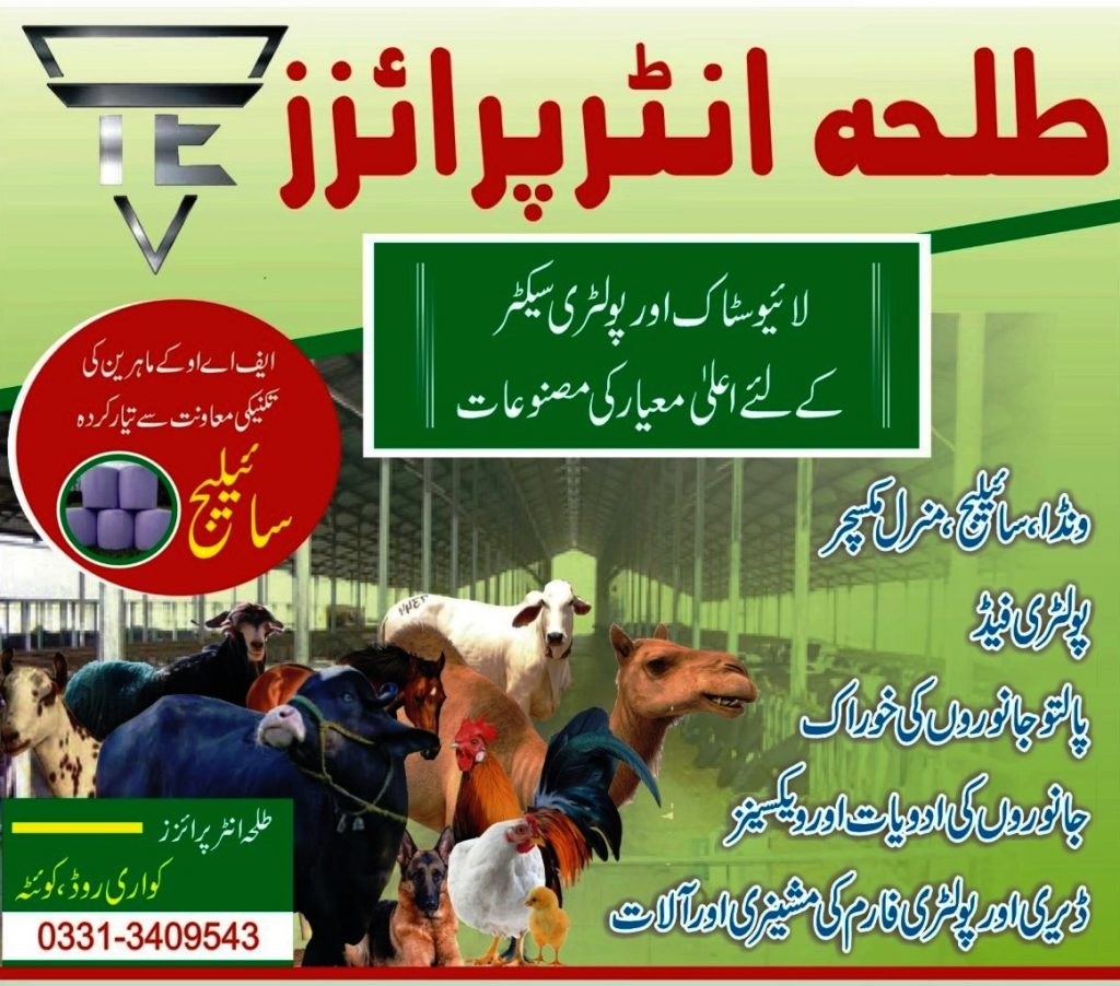 Veterinary Medicne Balochistan