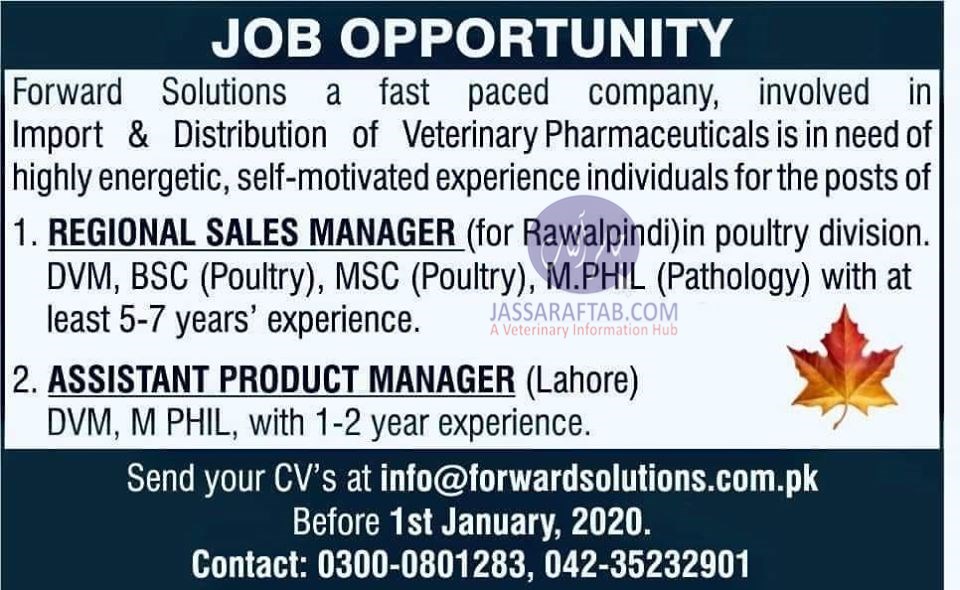 Job for veterinary professionals as manager