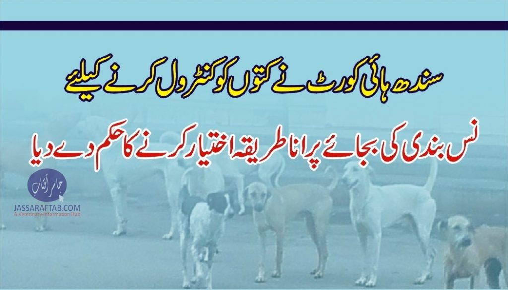 stop nuetering stray dogs