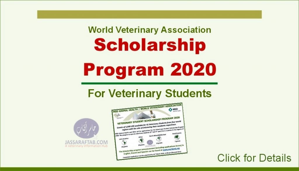 Veterinary student scholarship international