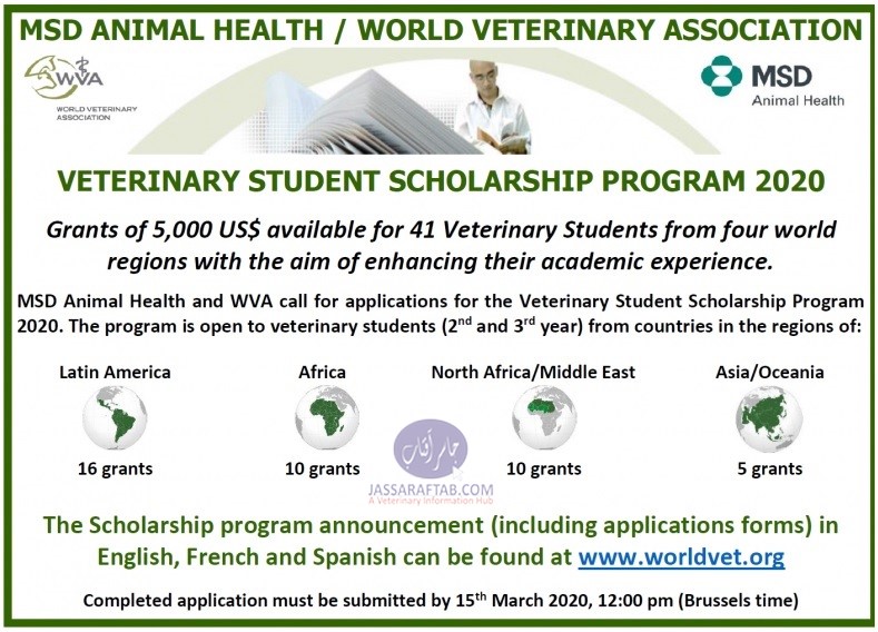 world veterinary association scholarship 