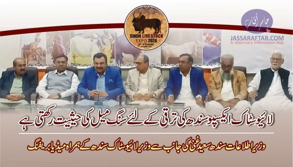 Livestock expo Sindh