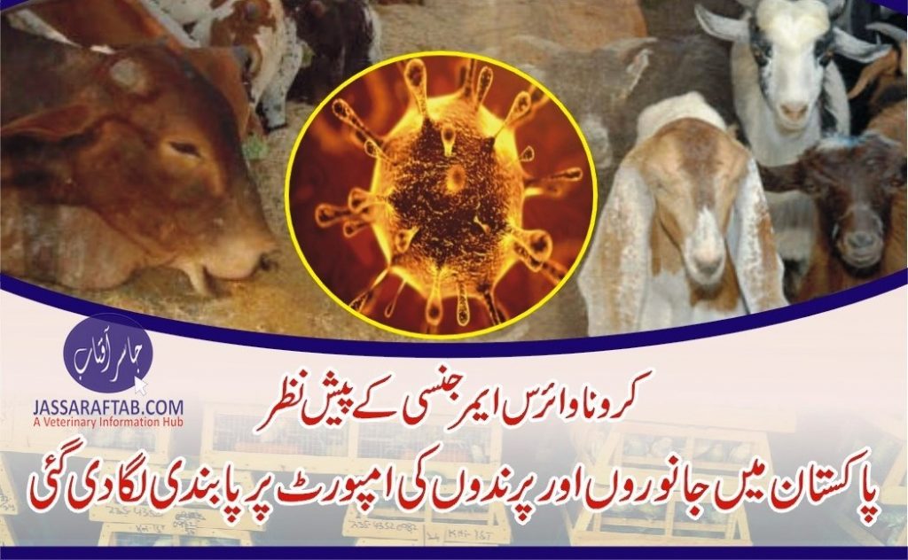Ministry bans import of animals