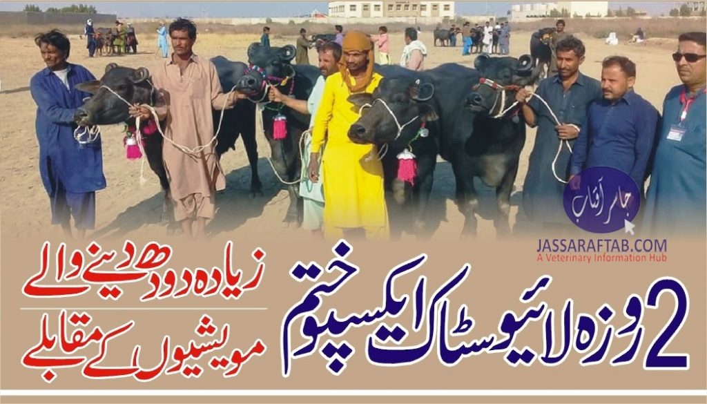  Closing ceremony Sindh Livestock expo