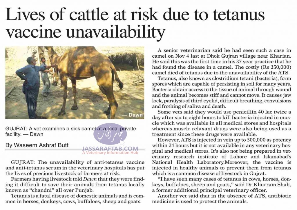 tetanus vaccine for animals