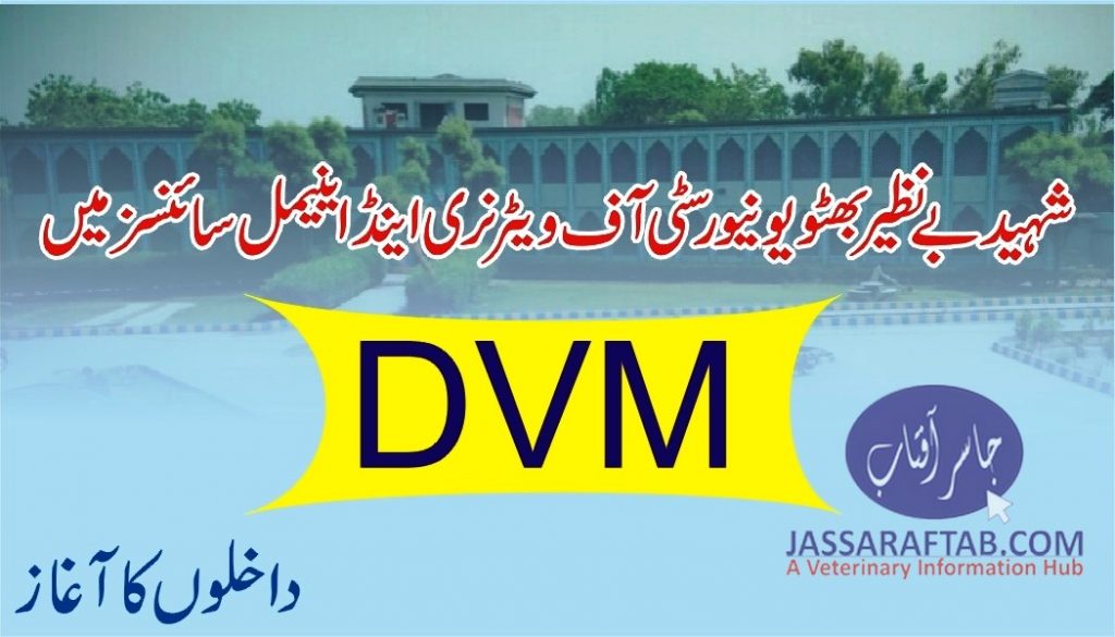 DVM admissions started at SBBUVAS Sakrand