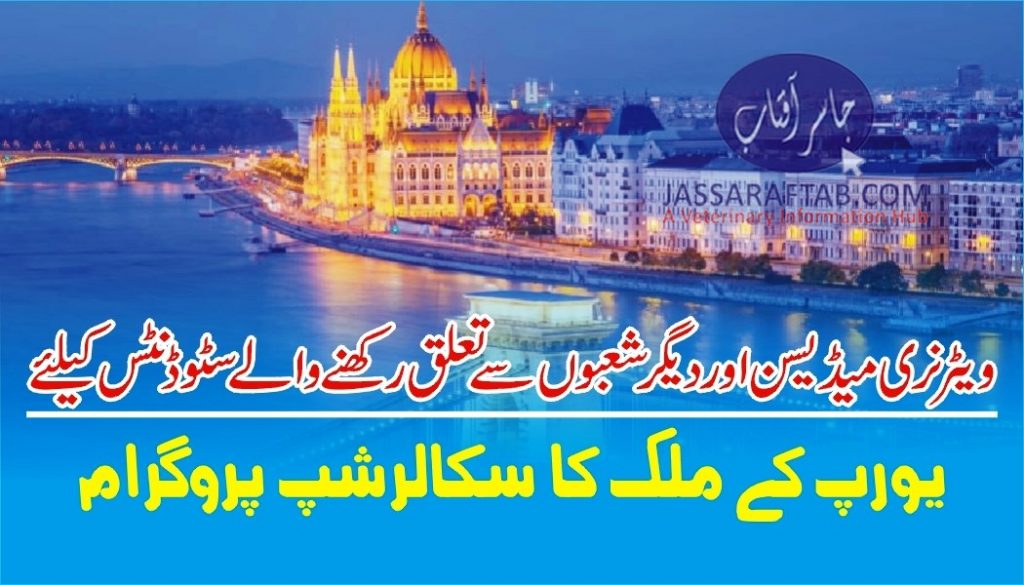 HUNGARY SCHOLARSHIPS FOR PAKISTANI STUDENTS UNDER ACADEMIC AND RESEARCH LINKAGES