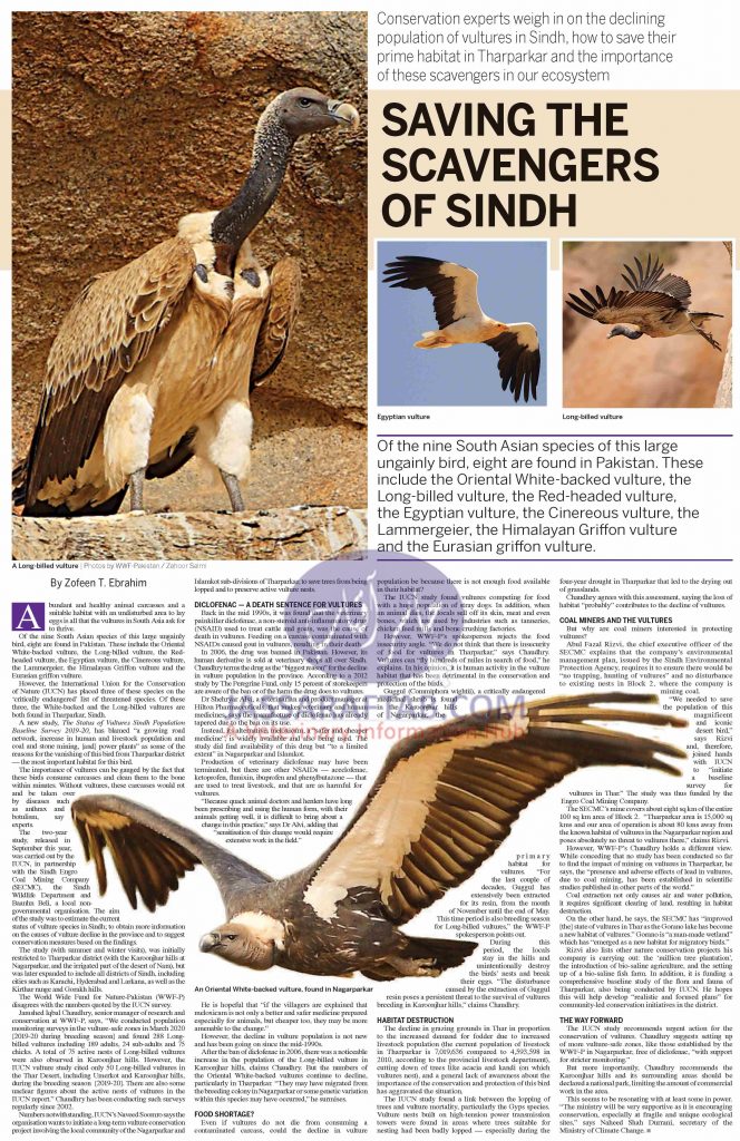 Conservation of Vultures