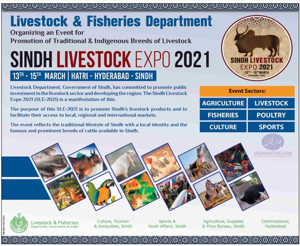 Sindh Livestock Expo