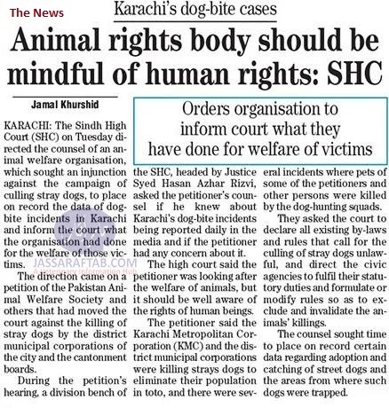 animal rights and human rights 