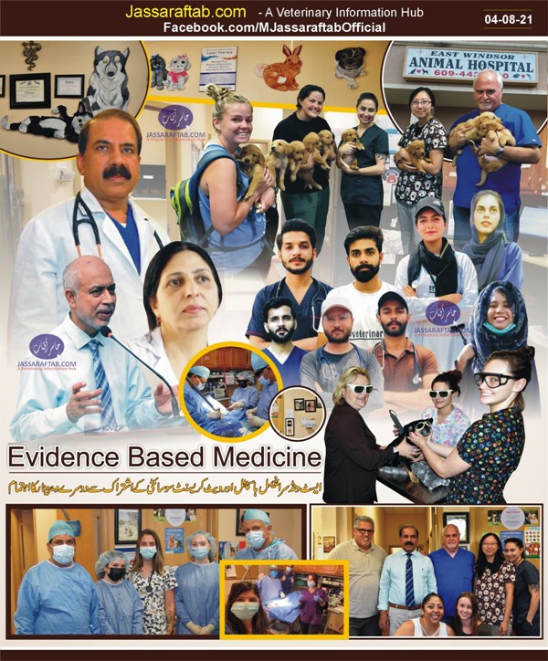 Evidence based medicine in veterinary practice