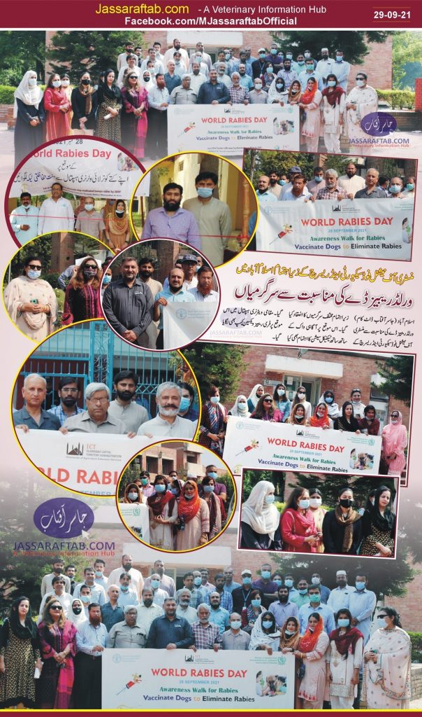 World Rabies Day in Pakistan 