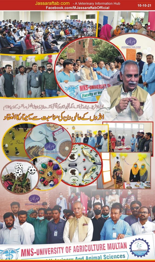 world egg day in pakistan 