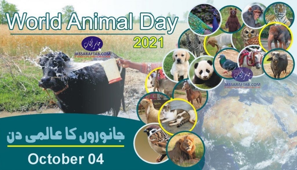 World Animal Day 2021