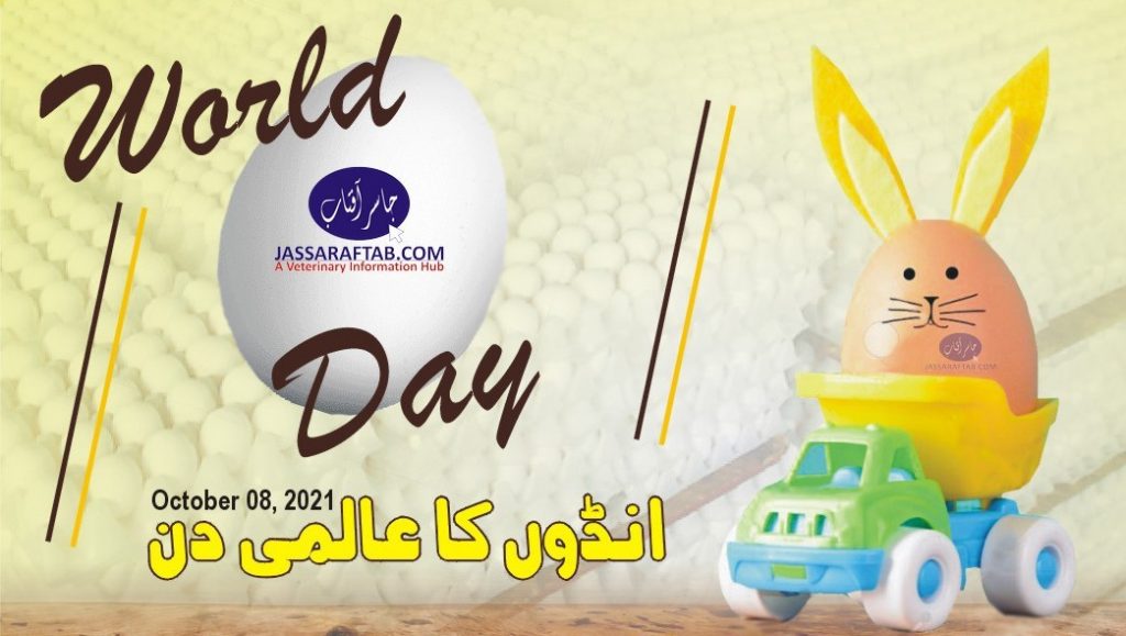 World egg day in Pakistan