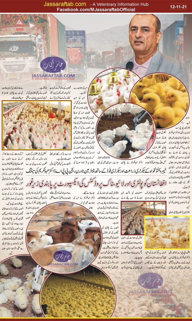 Poultry export to Afghanistan 