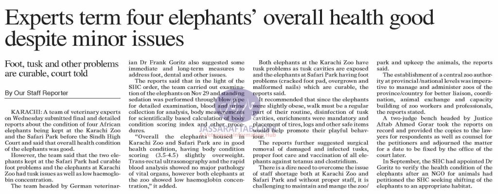 German dr submitted final report about condition of Elephants