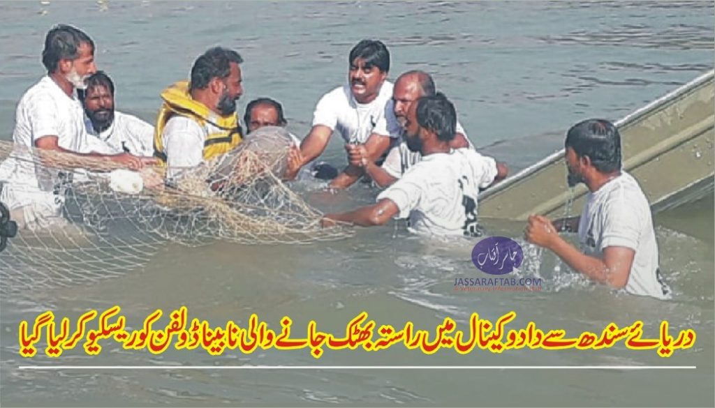 Dolphin rescued from Dadu Canal