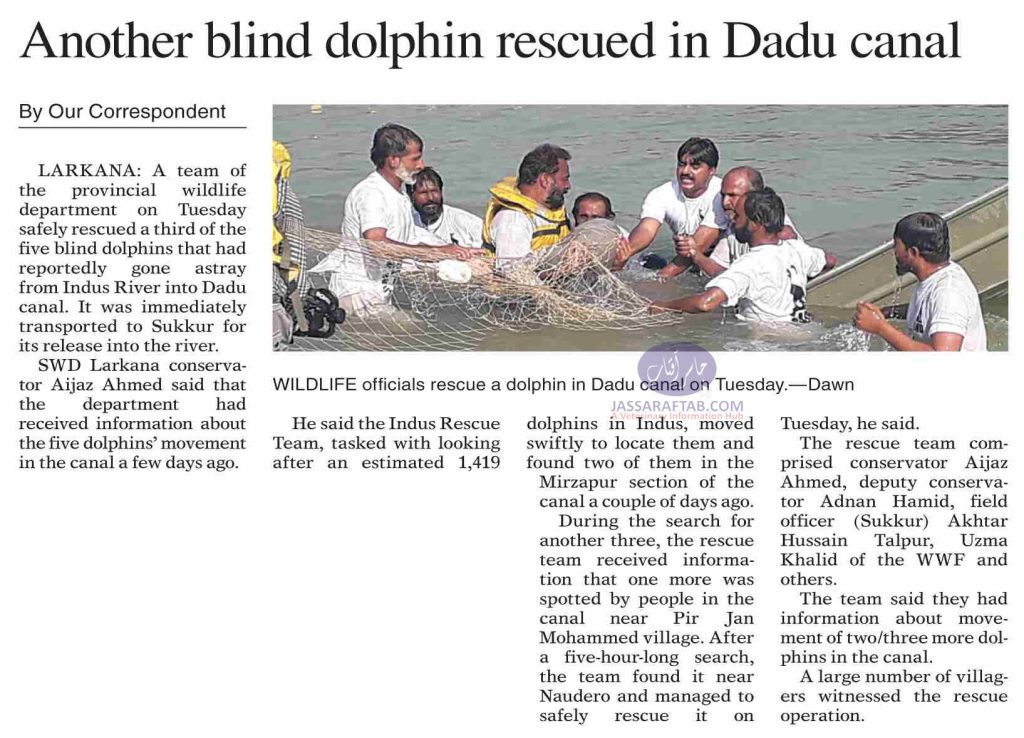 Dolphin rescued from Dadu Canal