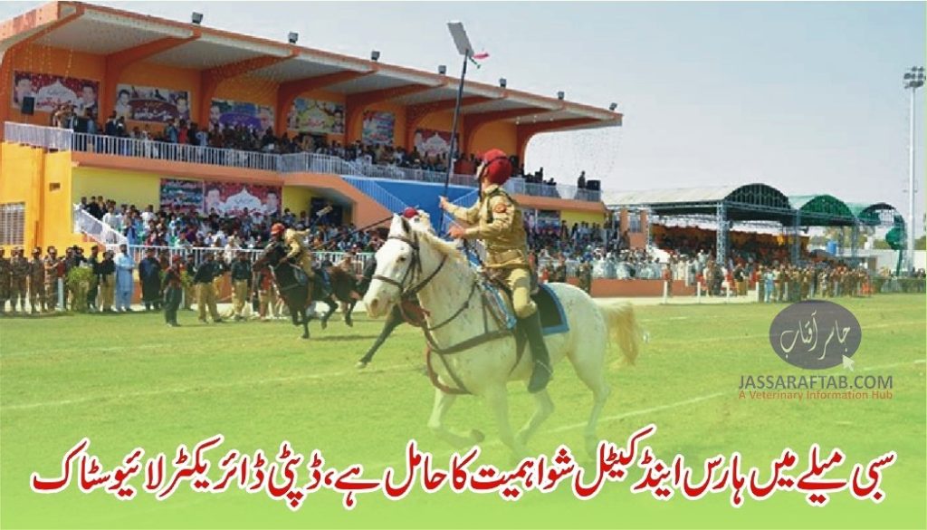 Horse and cattle show at Sibi mela
