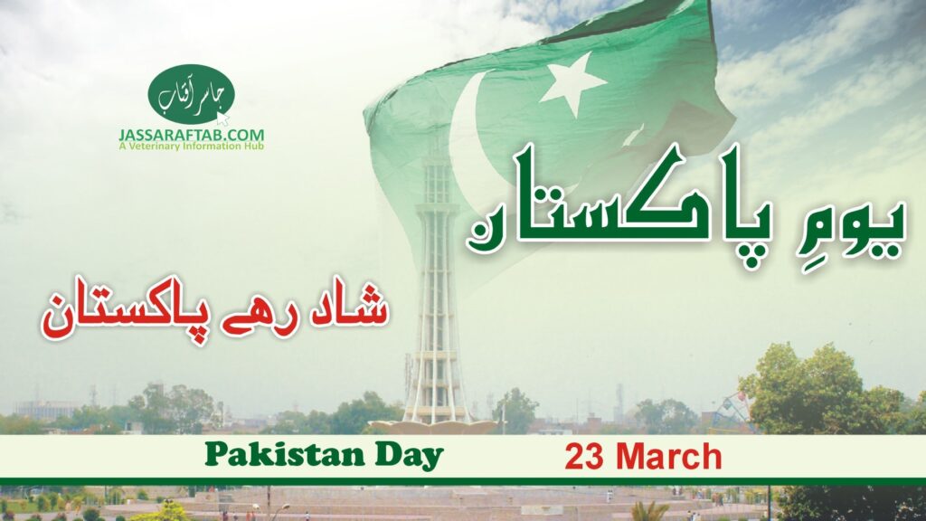 Pakistan Day 