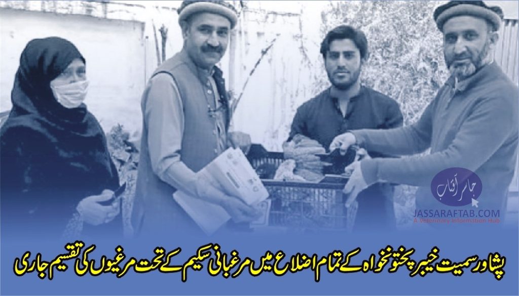 Poultry units distribution in Peshawar