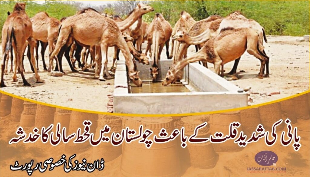 Heatwave could cause drought in Cholistan