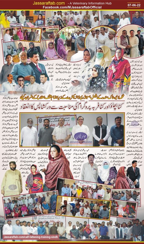 سندھ کے مختلف اضلاع میں کٹا بچاؤ اور کٹا فربہ پروگرام کی مناسبت سے ورکشاپس کا انعقاد