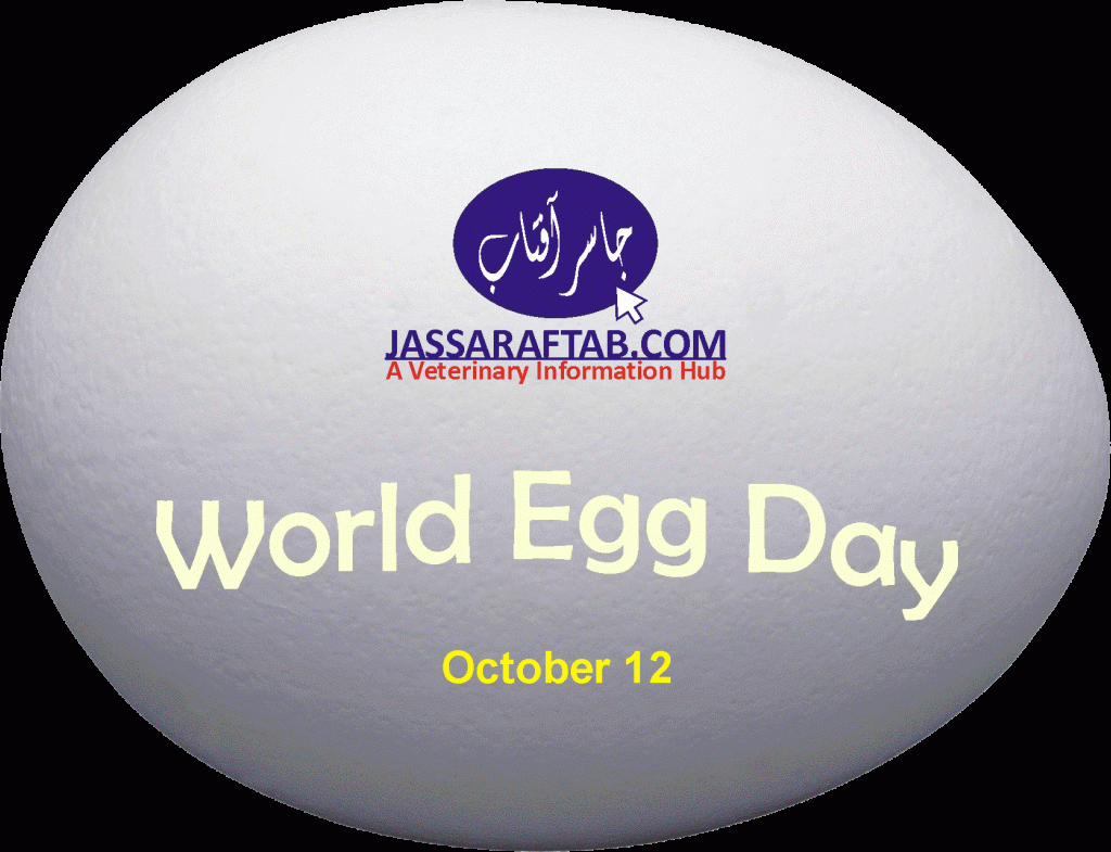 World Egg Day Pakistan