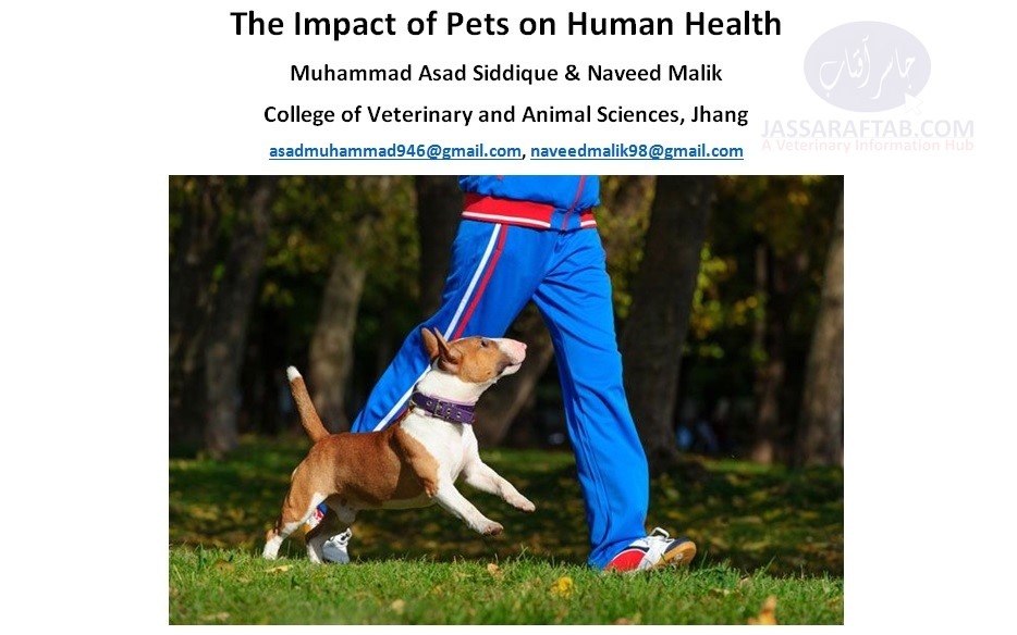 importance of pets to humans health