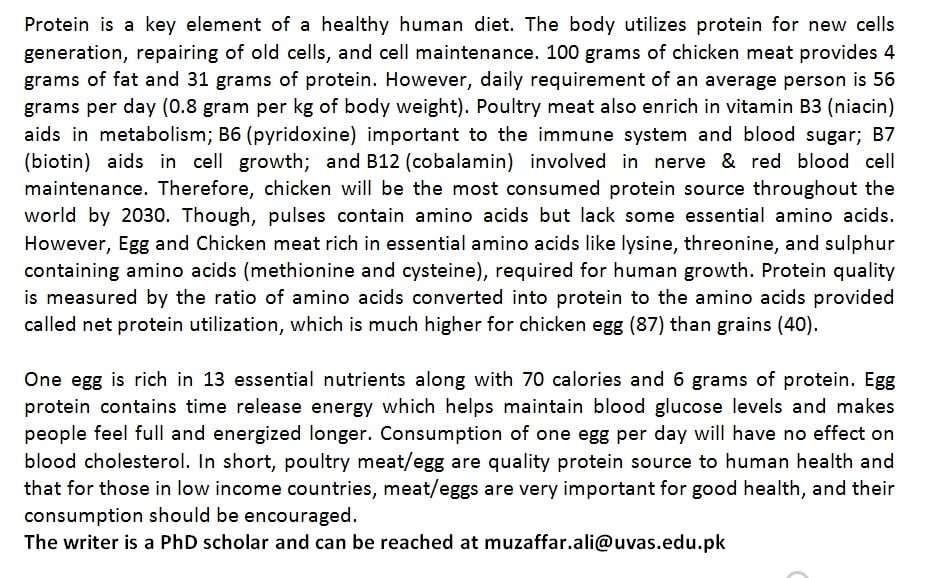  importance of chicken meat and importance of eggs