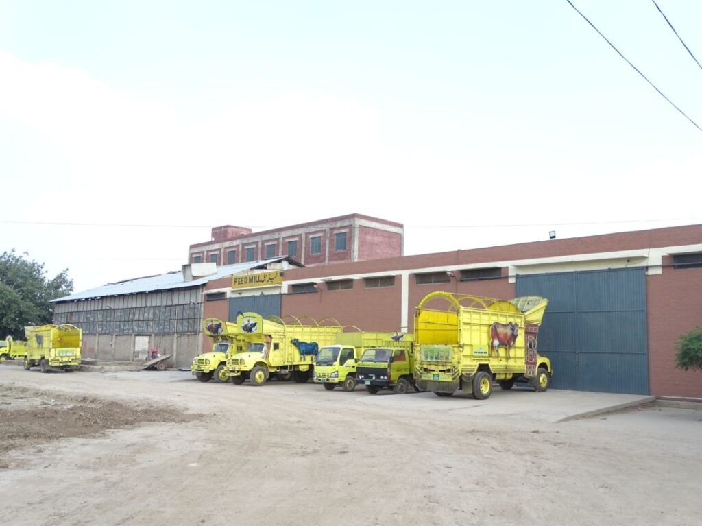 Branded Trucks for Livestock