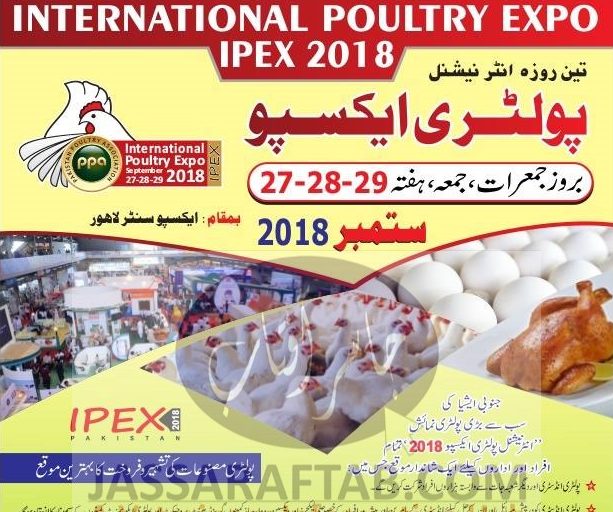 Advertisement of Poultry Expo