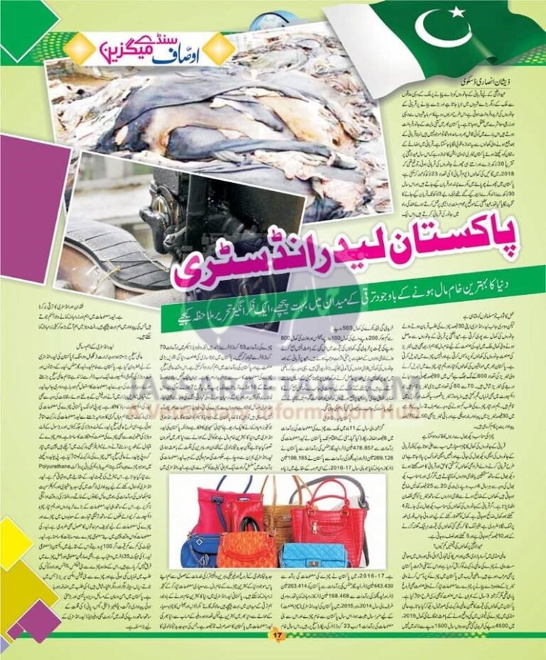 Pakistan leather industry ﻿and ﻿ Article on leather industry