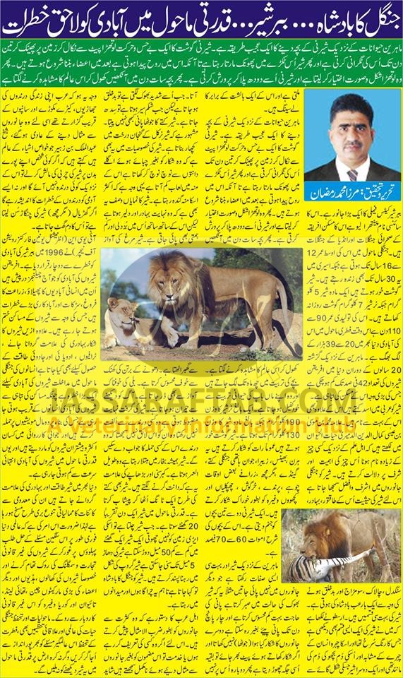 Threats to lions population