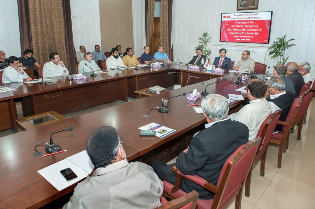 Nasim Sadiq in Livestock Emergency Group Meeting