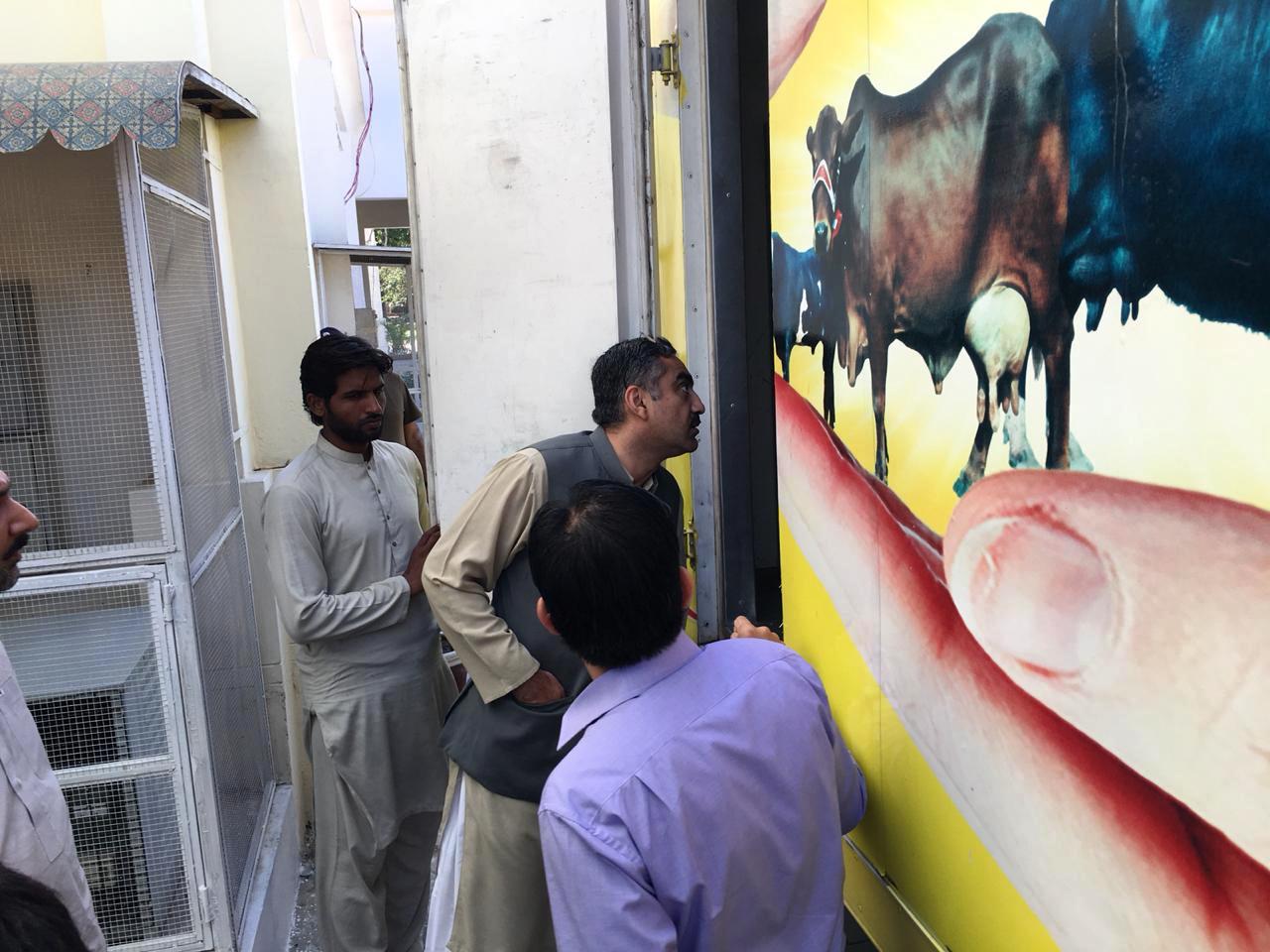 Minister Livestock observing Sahiwal Cow