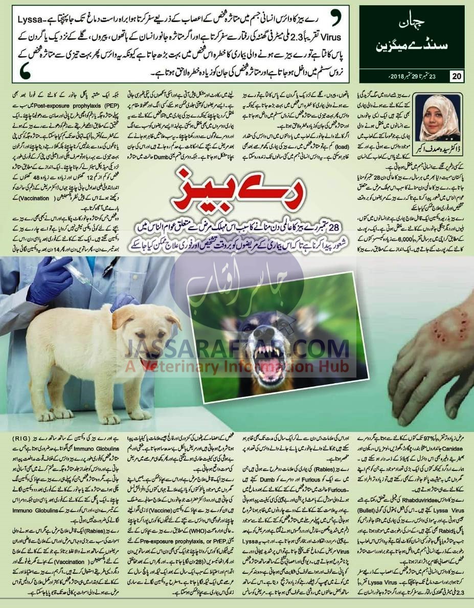 Article on Rabies by Dr. Syeda Sadaf Akbar on World Rabies Day